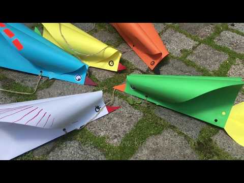 Bird Kite